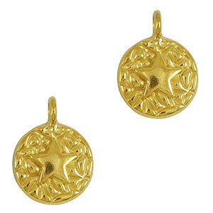Bedel RVS rond zeester goud