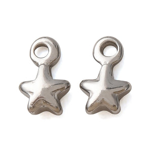 Bedel stainless steel mini sterretje zilver