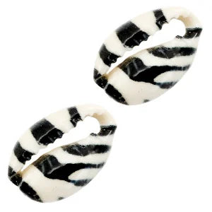 Kauri Schelp Black-white tiger