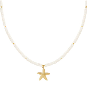Ketting sea shell wit met Zeester RVS goud