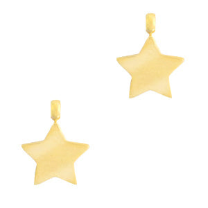 Roestvrij stalen (RVS) Stainless steel bedels ster Goud