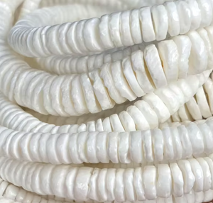 Schelp kralen rond 6mm natural wit